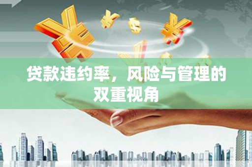 伊春贷款违约率，风险与管理的双重视角