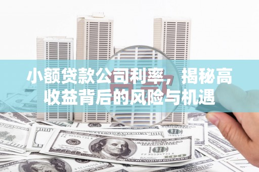 伊春小额贷款公司利率，揭秘高收益背后的风险与机遇