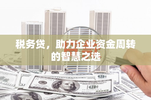 伊春税务贷，助力企业资金周转的智慧之选