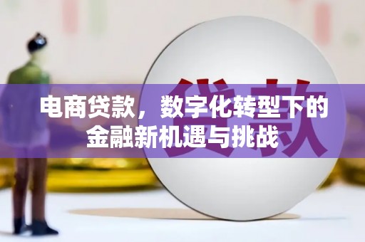 伊春电商贷款，数字化转型下的金融新机遇与挑战