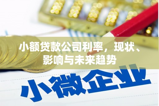 伊春小额贷款公司利率，现状、影响与未来趋势