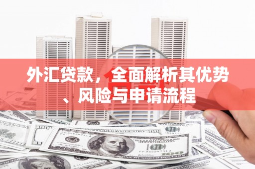 伊春外汇贷款，全面解析其优势、风险与申请流程