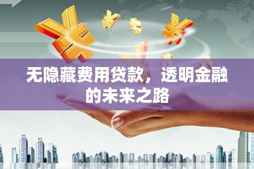 伊春无隐藏费用贷款，透明金融的未来之路