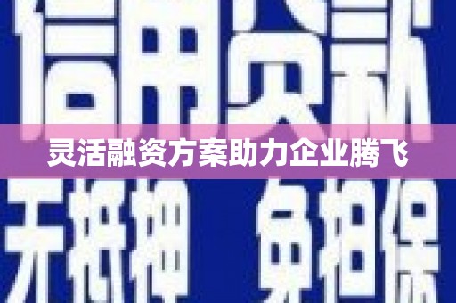 伊春灵活融资方案助力企业腾飞