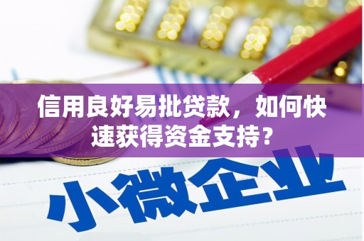 伊春信用良好易批贷款，如何快速获得资金支持？