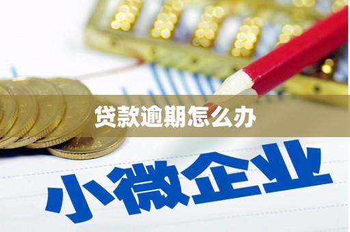 伊春贷款逾期怎么办