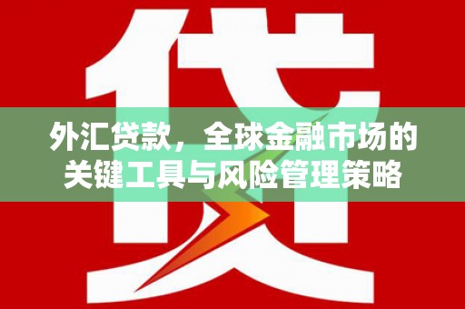 伊春外汇贷款，全球金融市场的关键工具与风险管理策略