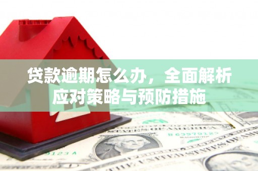 伊春贷款逾期怎么办，全面解析应对策略与预防措施
