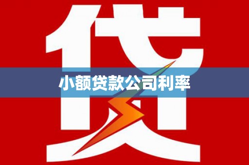伊春小额贷款公司利率
