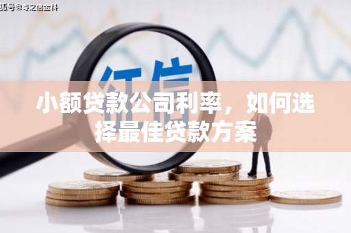 伊春小额贷款公司利率，如何选择最佳贷款方案