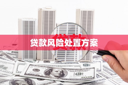 伊春贷款风险处置方案
