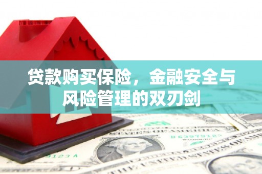 伊春贷款购买保险，金融安全与风险管理的双刃剑