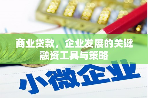 伊春商业贷款，企业发展的关键融资工具与策略