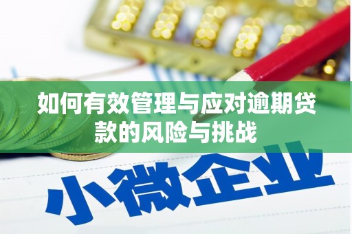 伊春如何有效管理与应对逾期贷款的风险与挑战