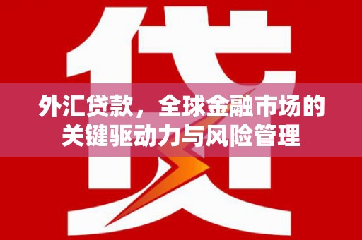 伊春外汇贷款，全球金融市场的关键驱动力与风险管理