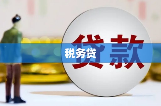 伊春税务贷