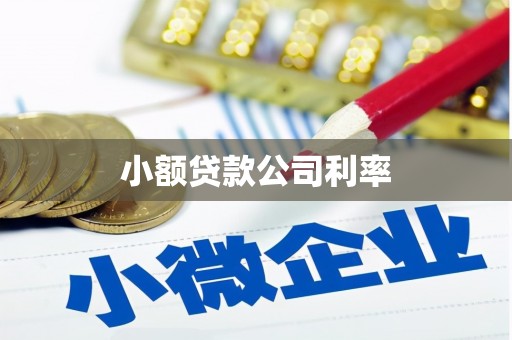 伊春小额贷款公司利率