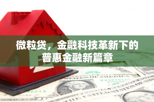 伊春微粒贷，金融科技革新下的普惠金融新篇章
