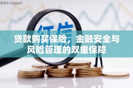 伊春贷款购买保险，金融安全与风险管理的双重保障