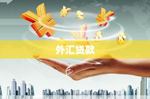 伊春外汇贷款