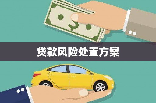 伊春贷款风险处置方案