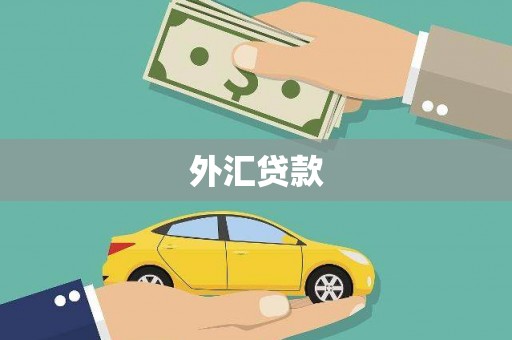 伊春外汇贷款