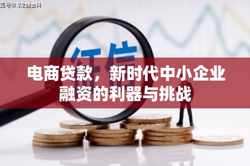 伊春电商贷款，新时代中小企业融资的利器与挑战