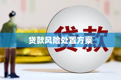 伊春贷款风险处置方案