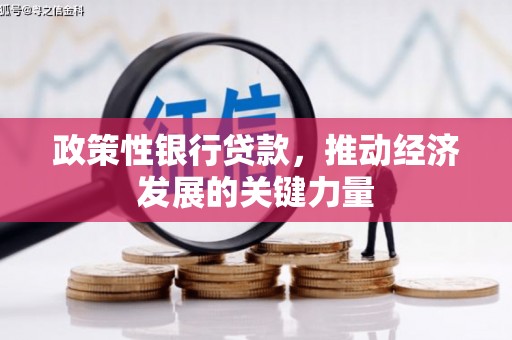 伊春政策性银行贷款，推动经济发展的关键力量
