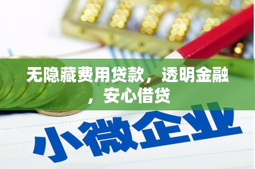 伊春无隐藏费用贷款，透明金融，安心借贷
