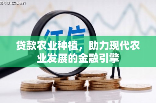 伊春贷款农业种植，助力现代农业发展的金融引擎