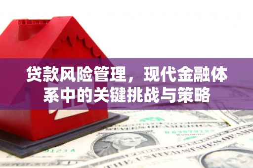 伊春贷款风险管理，现代金融体系中的关键挑战与策略