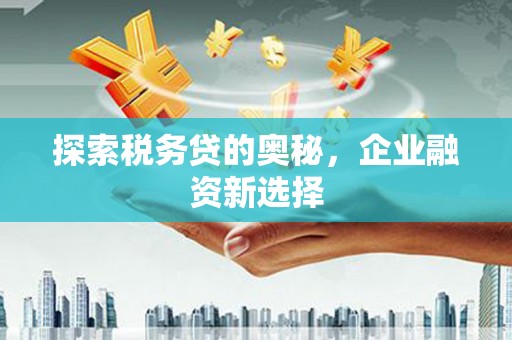 伊春探索税务贷的奥秘，企业融资新选择