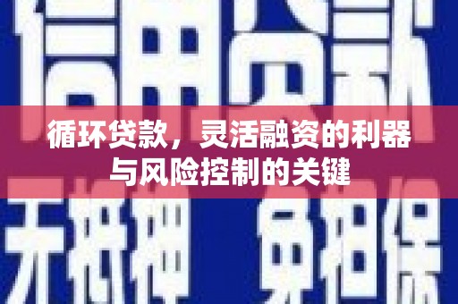 伊春循环贷款，灵活融资的利器与风险控制的关键