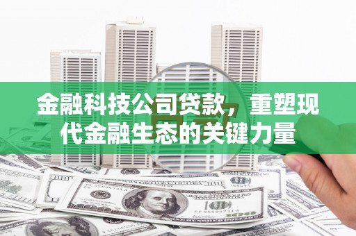 伊春金融科技公司贷款，重塑现代金融生态的关键力量