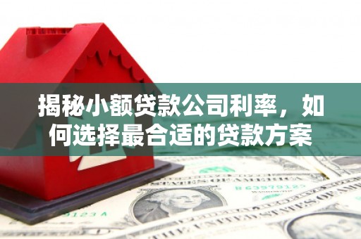 伊春揭秘小额贷款公司利率，如何选择最合适的贷款方案