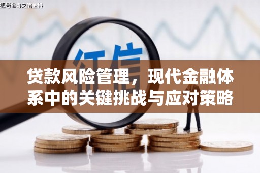 伊春贷款风险管理，现代金融体系中的关键挑战与应对策略