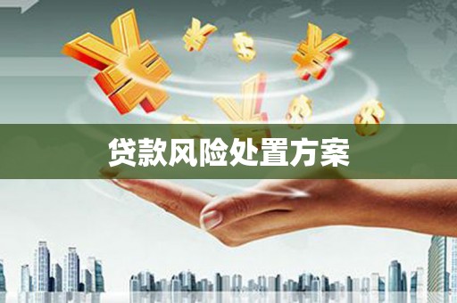 伊春贷款风险处置方案