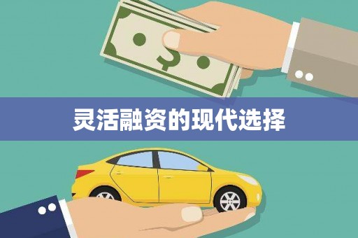 伊春灵活融资的现代选择