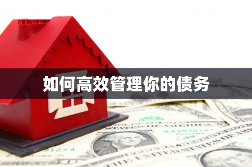 伊春如何高效管理你的债务
