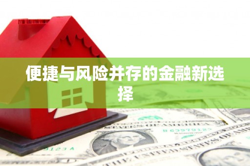 伊春便捷与风险并存的金融新选择