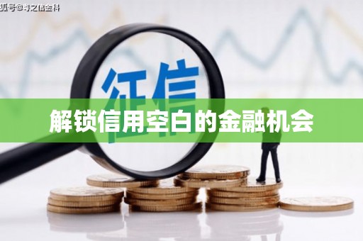 伊春解锁信用空白的金融机会
