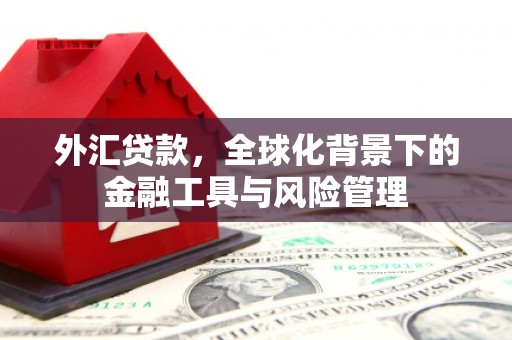 伊春外汇贷款，全球化背景下的金融工具与风险管理