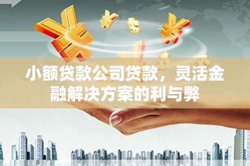 伊春小额贷款公司贷款，灵活金融解决方案的利与弊