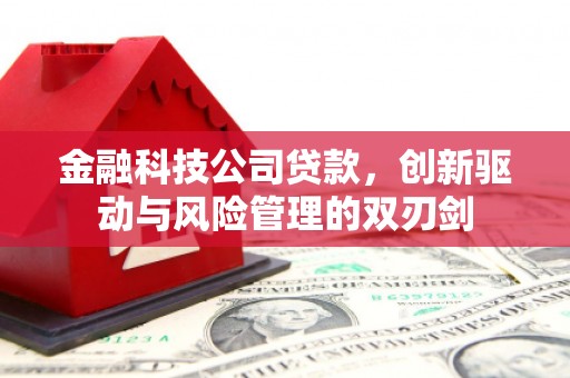 伊春金融科技公司贷款，创新驱动与风险管理的双刃剑